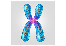 Y Chromosome Microdeletion Gene Detection