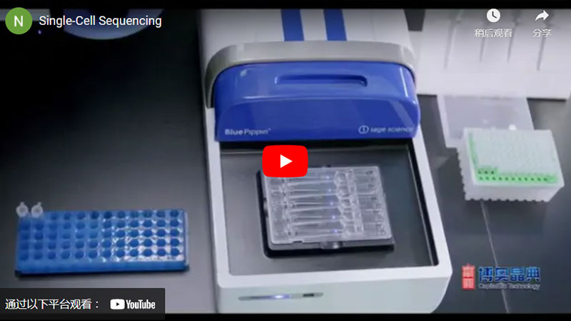 Single-Cell Sequencing