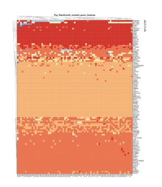 Heat-Map-of-High-frequency-Mutant-Gene-Cluster.jpg