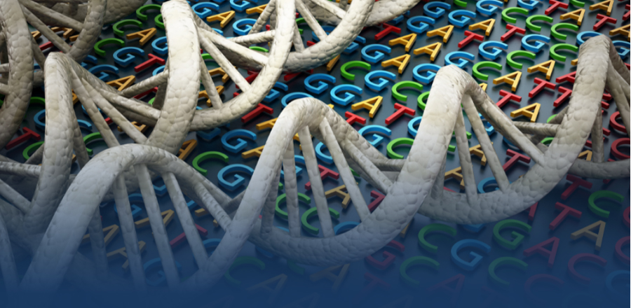 Genome Sequencing