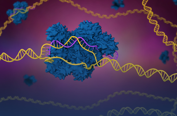 Transcriptome Sequencing