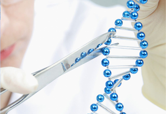 Whole Exome Sequencing