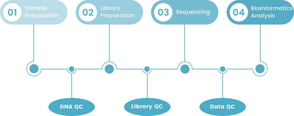Human Whole Exome Sequencing Workflow