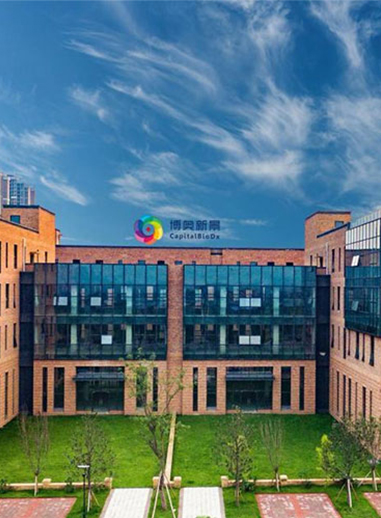 Company Profile