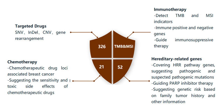 Features of Individualized Medication Guidance for Breast Cancer 