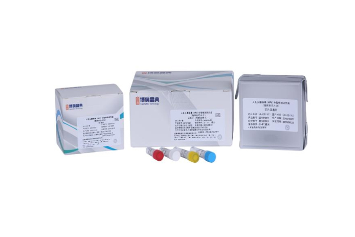 hpv genotyping test kit