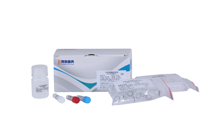 Mycobacteria Nucleic Acid Detection