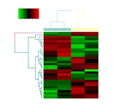 differential-gene-heatmap.jpg