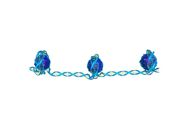 Single-cell ATAC Sequencing