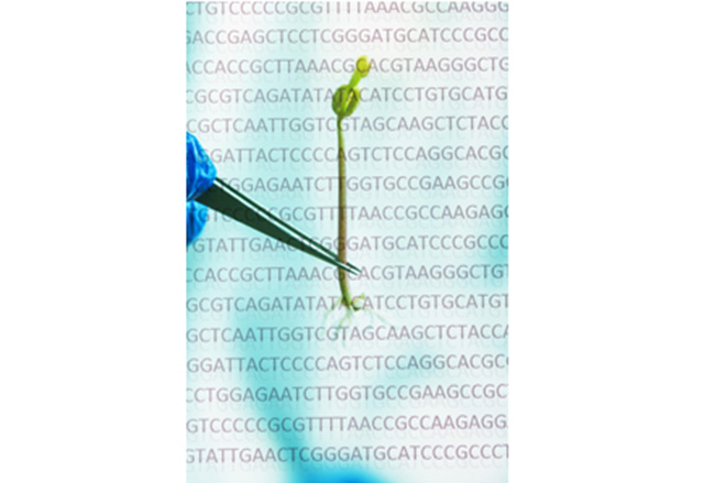 Agricultural SNP Microarray