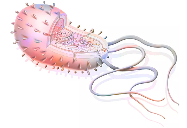 Single-Cell CRISPR Screening