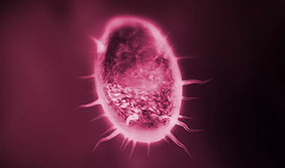 Single-Cell Sequencing