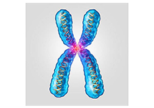 Neuromuscular Disorders