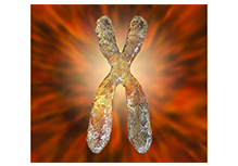 Y Chromosome Microdeletion Gene Detection