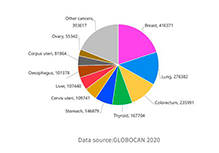 Genetic Testing for BRCA1/2 Targeted-drug Guidance [ Germline + Somatic]