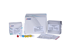 Mycobacteria Nucleic Acid Detection