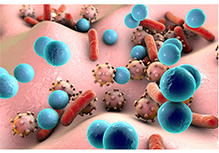 The Disease Susceptibility Genetic Test-Colorectal Cancer