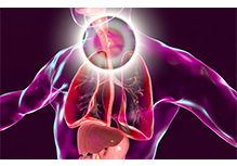 The Disease Susceptibility Genetic Test-Obesity