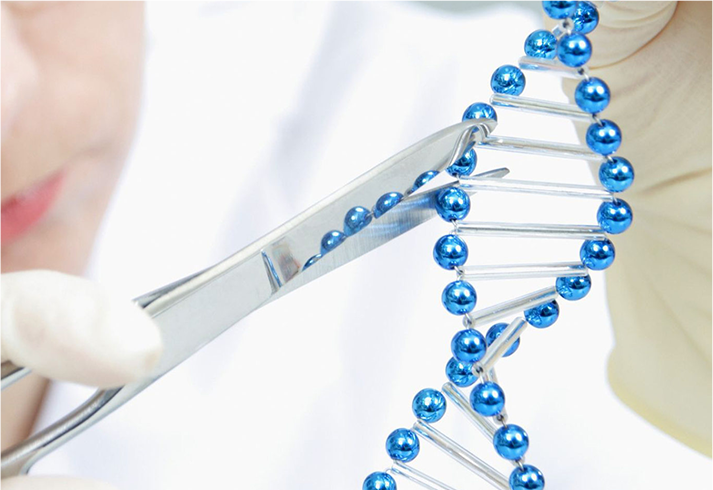 human whole exome sequencing