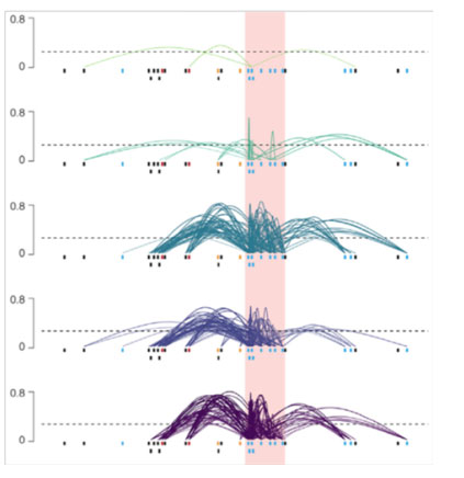 Chromatin-co-accessibility-analysis.jpg