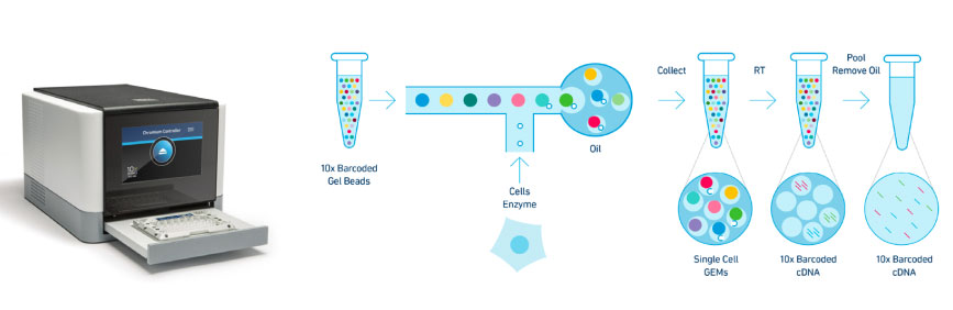 Platform-and-principle-of-single-cell-transcriptome.jpg