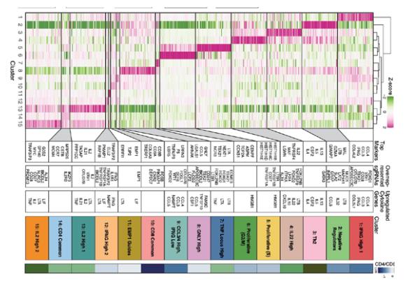 Transcriptome_subgroup_marker_gene_heatmap_and_list_of_significantly_associated_sgRNA_target_genes.jpg