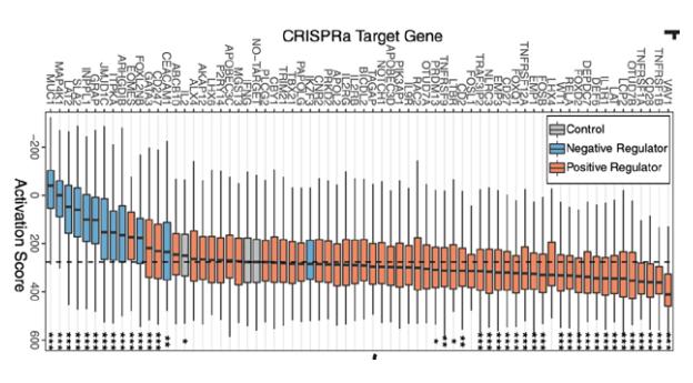 sgRNA_subgroup_calculation_boxplot_of_a_gene_set_score.jpg