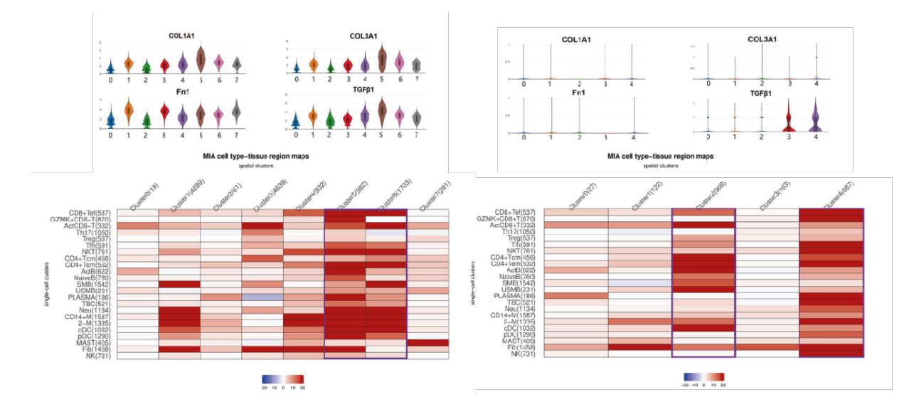 Figure_3._Differential_distribution_of_immune_subgroups_in_IC_and_control_bladders_after_combining_single-cell_and_spatial_data.png